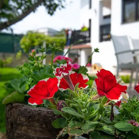 With Garden Close To Beach *